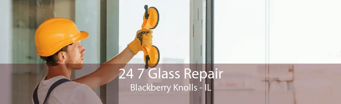 24 7 Glass Repair Blackberry Knolls - IL