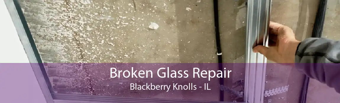 Broken Glass Repair Blackberry Knolls - IL