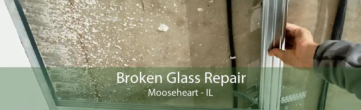 Broken Glass Repair Mooseheart - IL