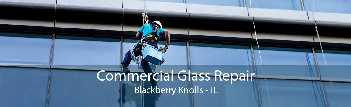 Commercial Glass Repair Blackberry Knolls - IL