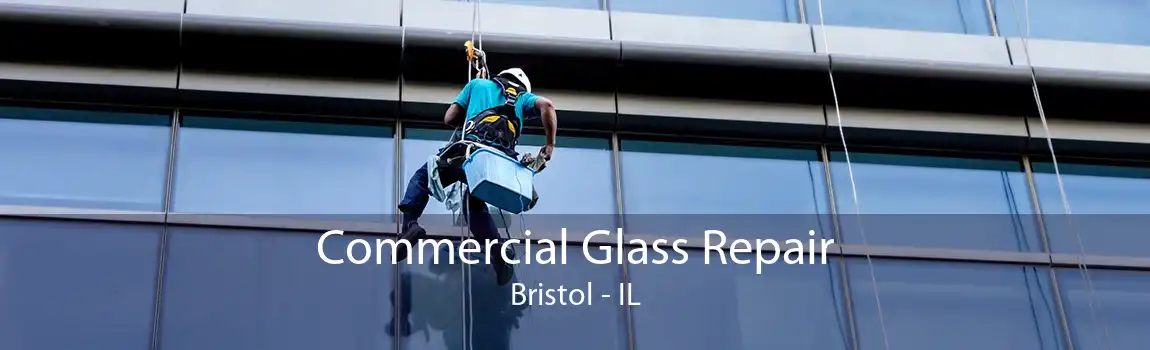 Commercial Glass Repair Bristol - IL