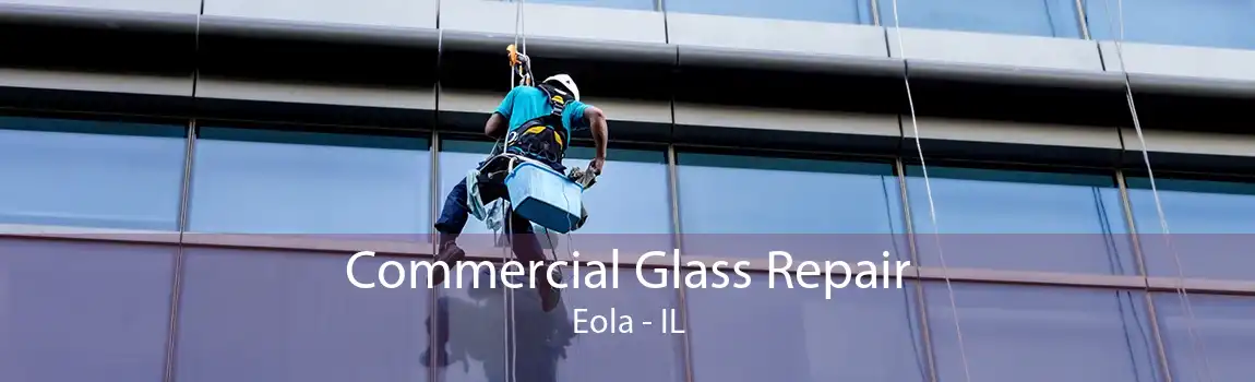 Commercial Glass Repair Eola - IL