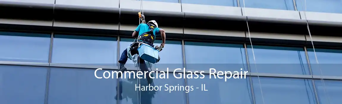 Commercial Glass Repair Harbor Springs - IL