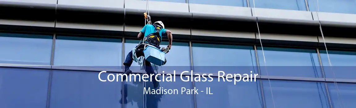 Commercial Glass Repair Madison Park - IL