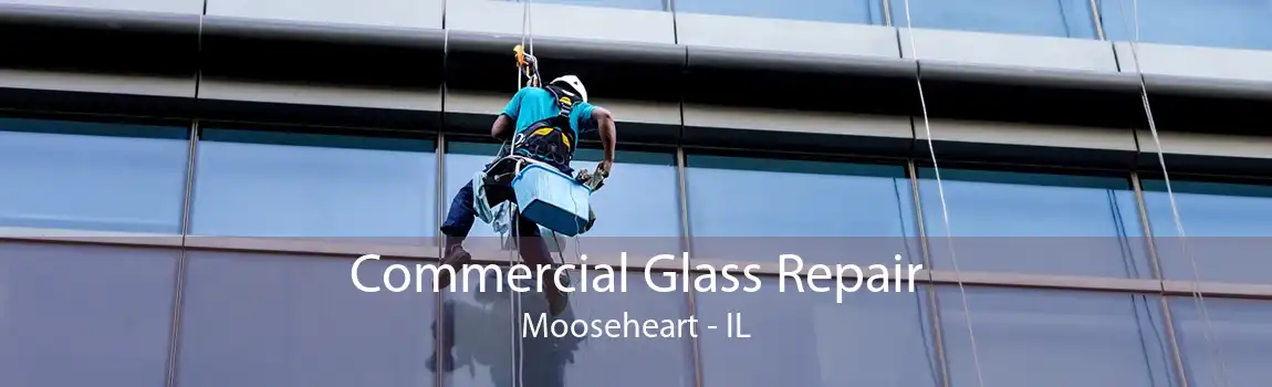 Commercial Glass Repair Mooseheart - IL