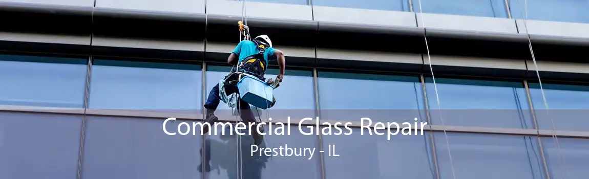 Commercial Glass Repair Prestbury - IL