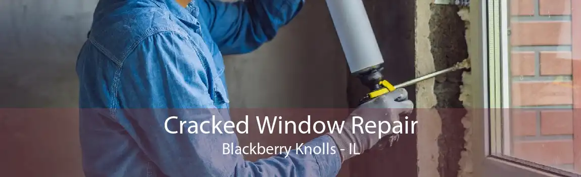 Cracked Window Repair Blackberry Knolls - IL