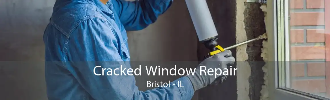 Cracked Window Repair Bristol - IL