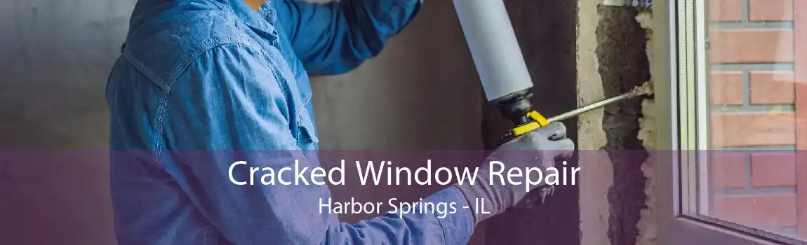 Cracked Window Repair Harbor Springs - IL