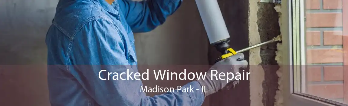 Cracked Window Repair Madison Park - IL