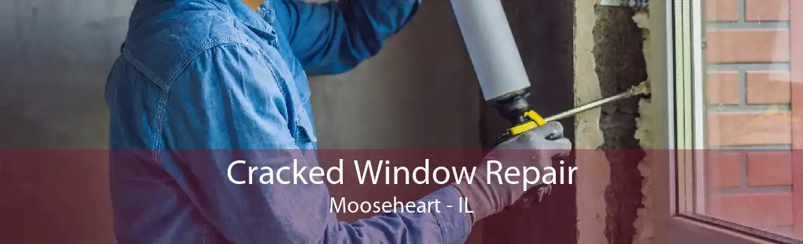 Cracked Window Repair Mooseheart - IL