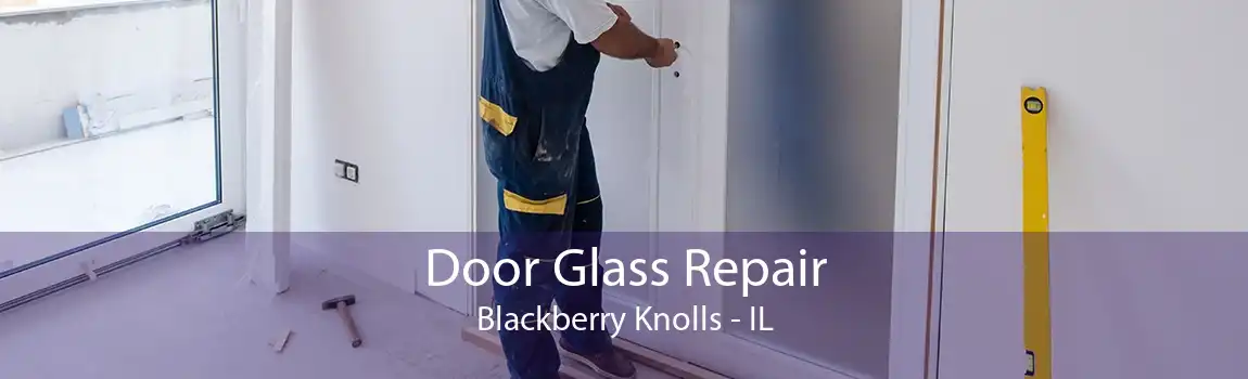 Door Glass Repair Blackberry Knolls - IL