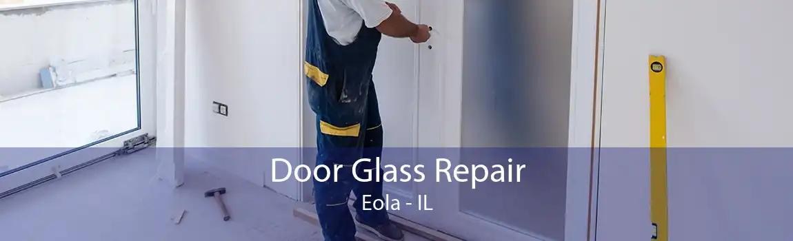 Door Glass Repair Eola - IL