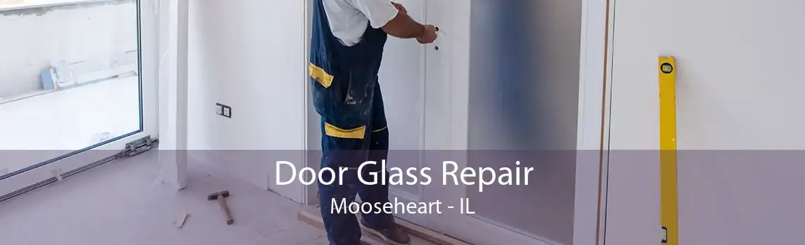 Door Glass Repair Mooseheart - IL