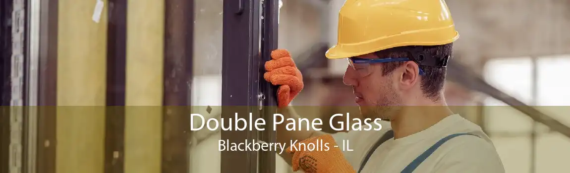 Double Pane Glass Blackberry Knolls - IL