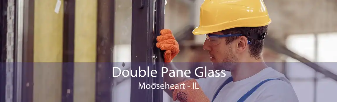 Double Pane Glass Mooseheart - IL