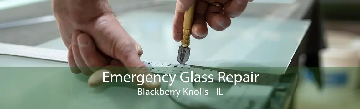 Emergency Glass Repair Blackberry Knolls - IL