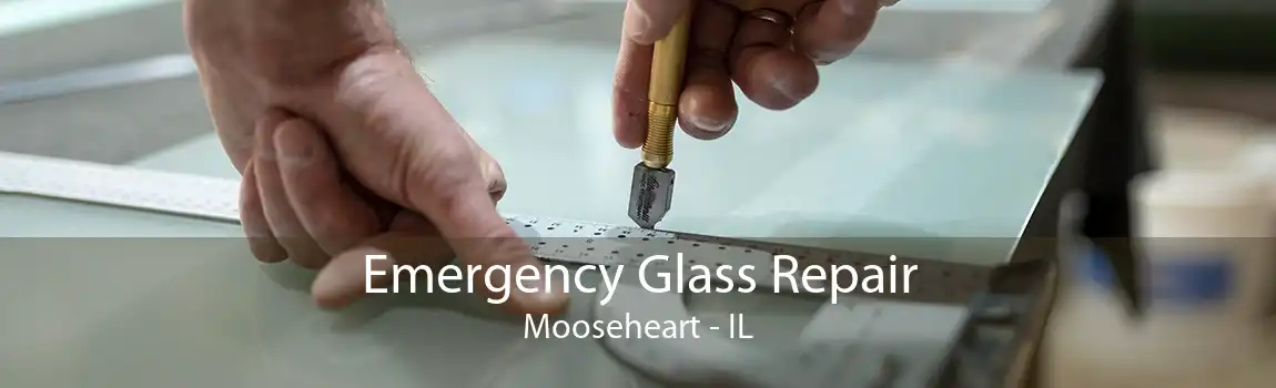 Emergency Glass Repair Mooseheart - IL