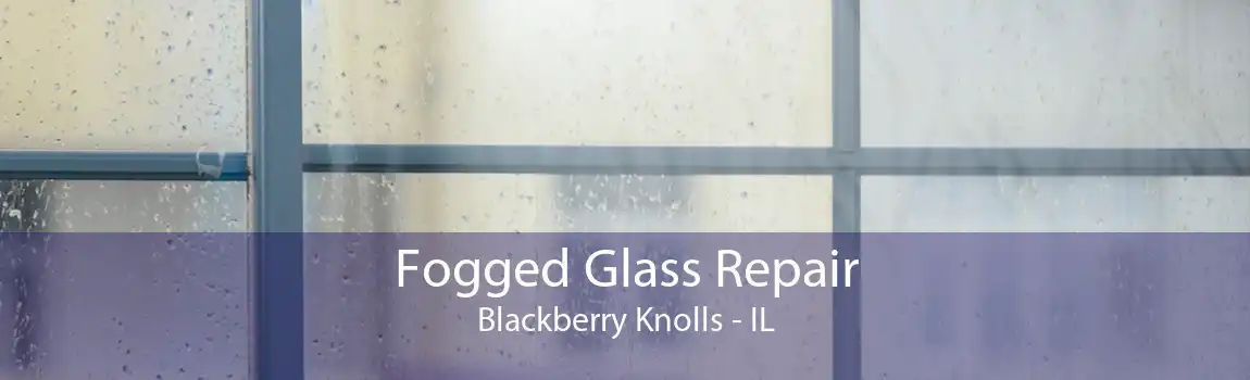 Fogged Glass Repair Blackberry Knolls - IL