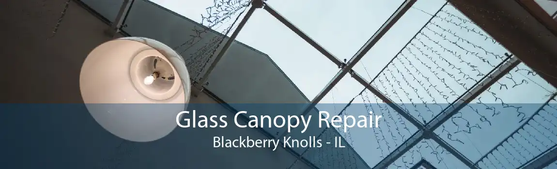 Glass Canopy Repair Blackberry Knolls - IL