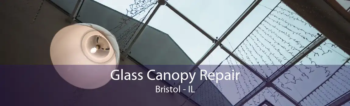 Glass Canopy Repair Bristol - IL