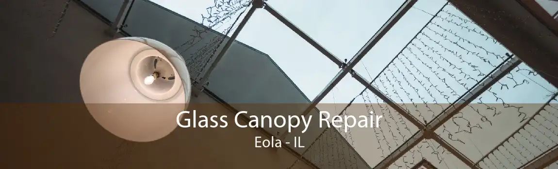 Glass Canopy Repair Eola - IL