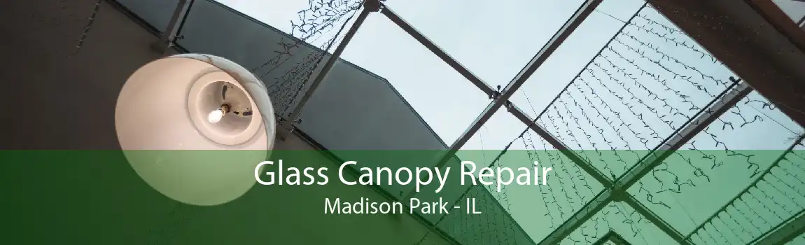 Glass Canopy Repair Madison Park - IL