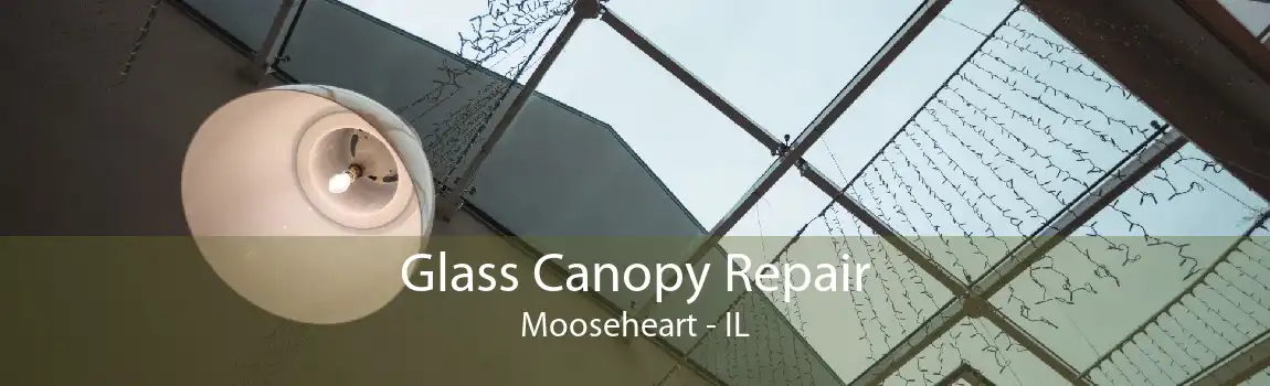 Glass Canopy Repair Mooseheart - IL