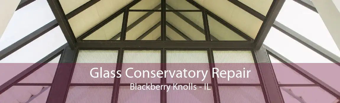 Glass Conservatory Repair Blackberry Knolls - IL