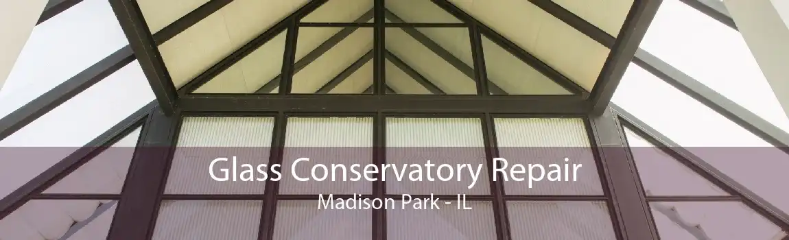 Glass Conservatory Repair Madison Park - IL