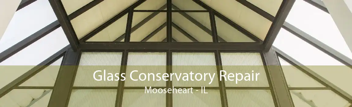 Glass Conservatory Repair Mooseheart - IL