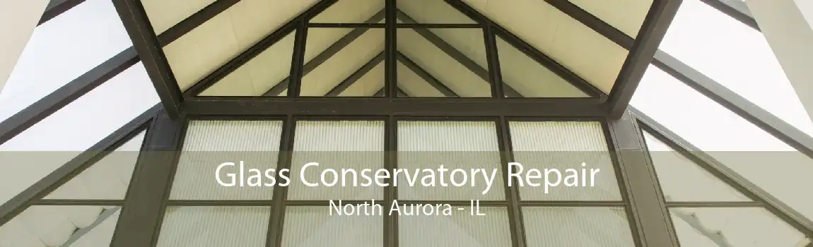 Glass Conservatory Repair North Aurora - IL