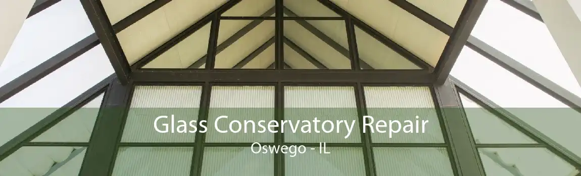 Glass Conservatory Repair Oswego - IL