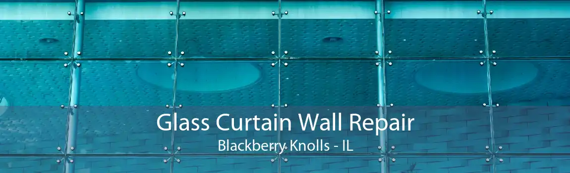 Glass Curtain Wall Repair Blackberry Knolls - IL