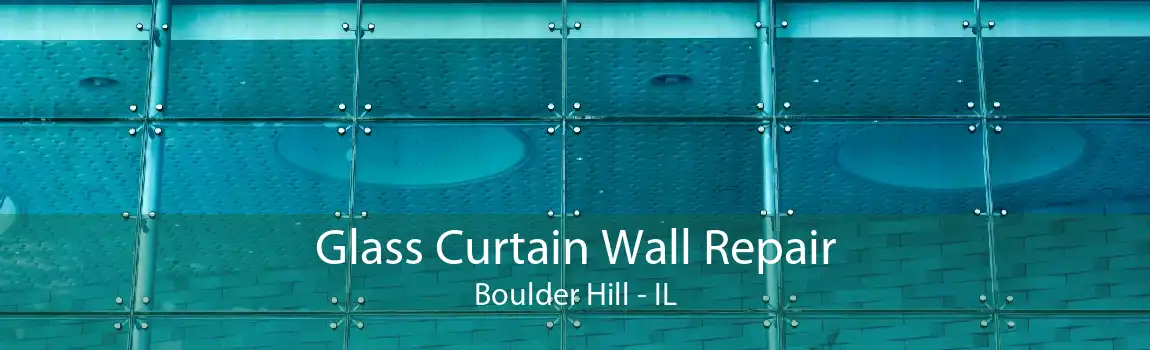 Glass Curtain Wall Repair Boulder Hill - IL