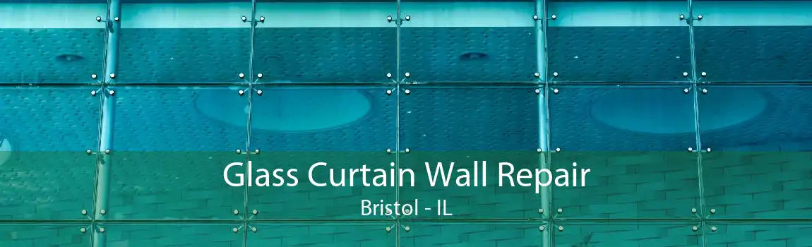 Glass Curtain Wall Repair Bristol - IL