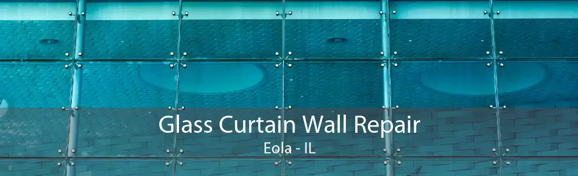 Glass Curtain Wall Repair Eola - IL