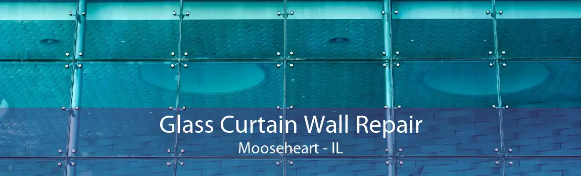 Glass Curtain Wall Repair Mooseheart - IL