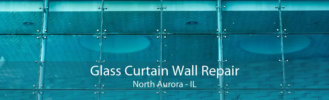 Glass Curtain Wall Repair North Aurora - IL