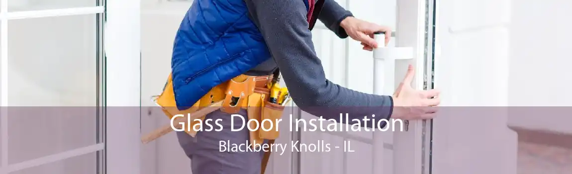 Glass Door Installation Blackberry Knolls - IL