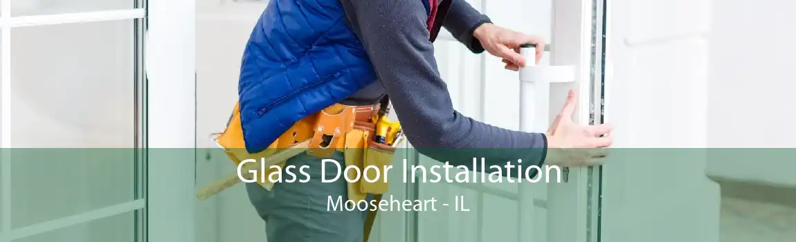 Glass Door Installation Mooseheart - IL