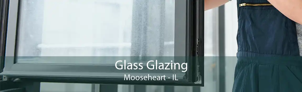 Glass Glazing Mooseheart - IL