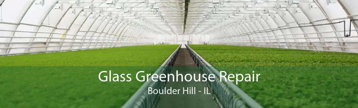 Glass Greenhouse Repair Boulder Hill - IL