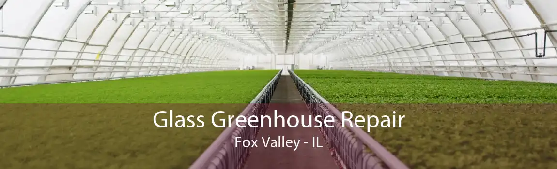 Glass Greenhouse Repair Fox Valley - IL