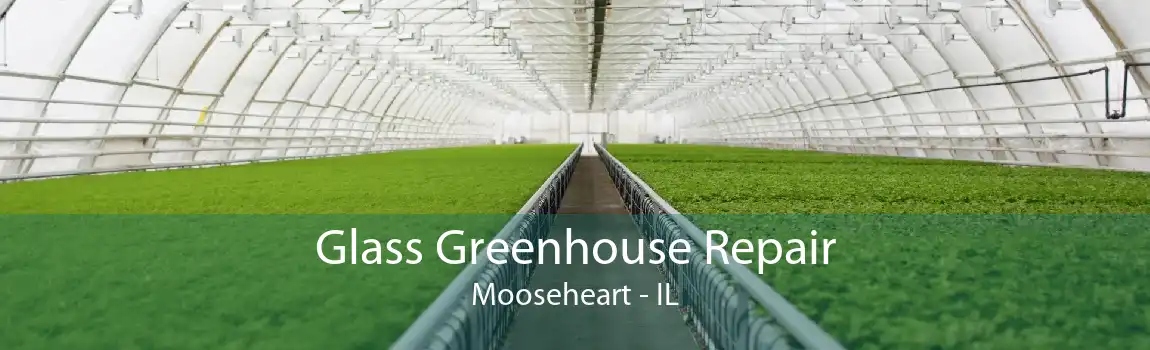 Glass Greenhouse Repair Mooseheart - IL