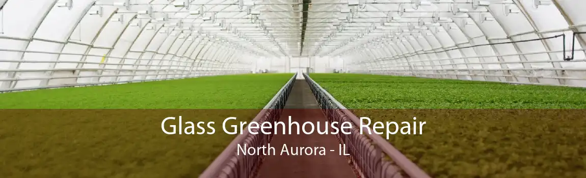 Glass Greenhouse Repair North Aurora - IL