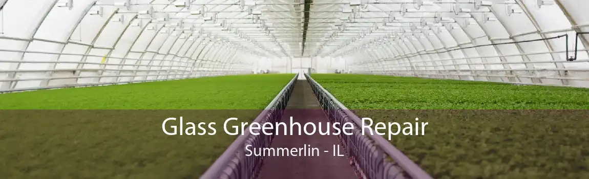 Glass Greenhouse Repair Summerlin - IL