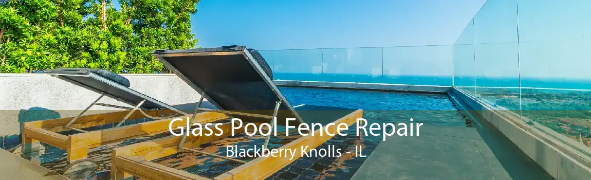 Glass Pool Fence Repair Blackberry Knolls - IL