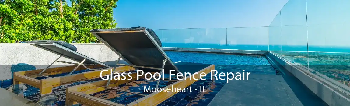 Glass Pool Fence Repair Mooseheart - IL