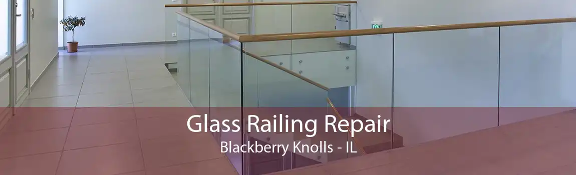 Glass Railing Repair Blackberry Knolls - IL